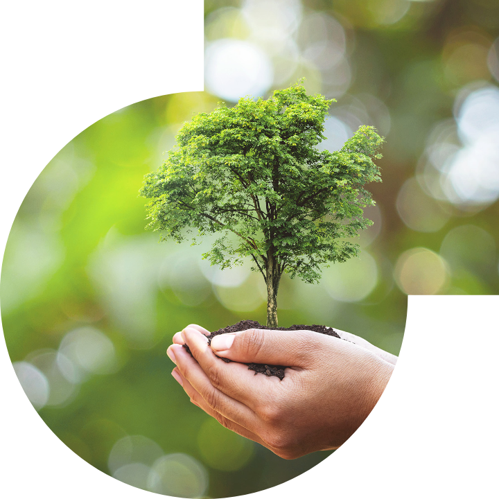 �P��������Ļ����h���c���