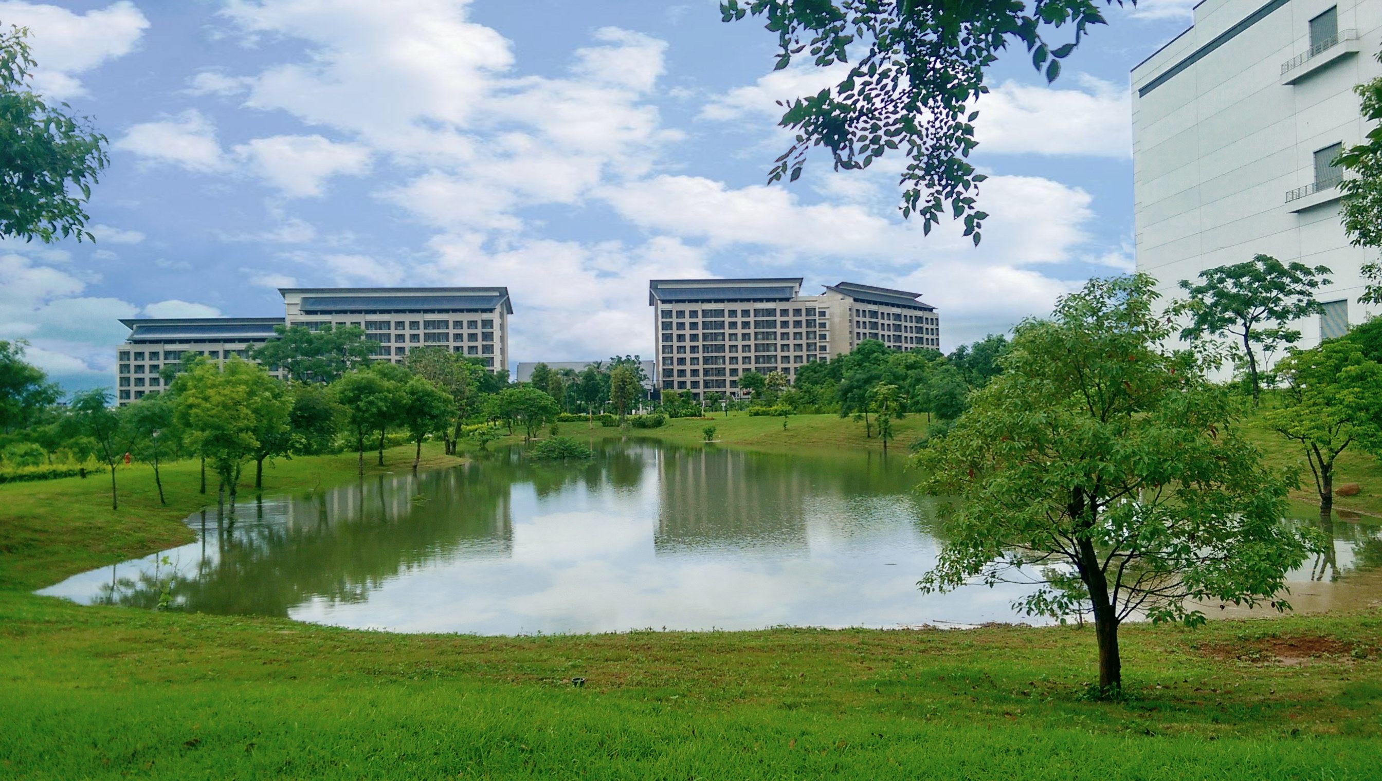 LEYU�پW푑����H���h���������څ�����״ΰl(f��)��TNFD��Ȼ���Pؔ�ս�¶������뢄����_չLEYU�پW�������������֮���Z�����~���c��Ȼ���C����